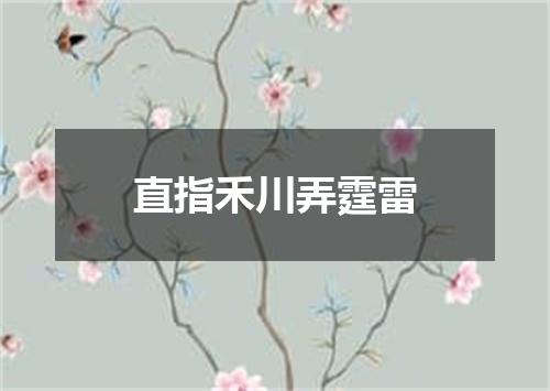 直指禾川弄霆雷