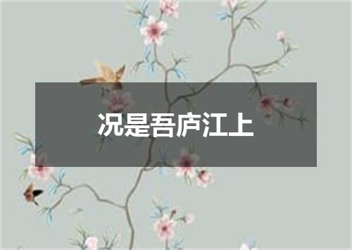 况是吾庐江上