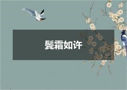 鬓霜如许