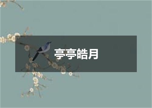 亭亭皓月