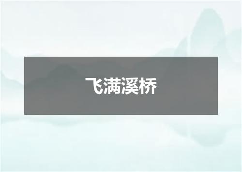 飞满溪桥