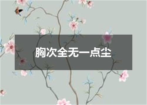 胸次全无一点尘