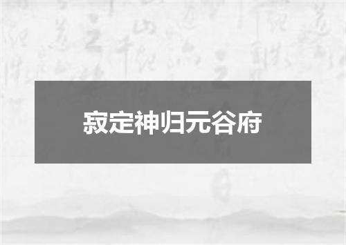 寂定神归元谷府