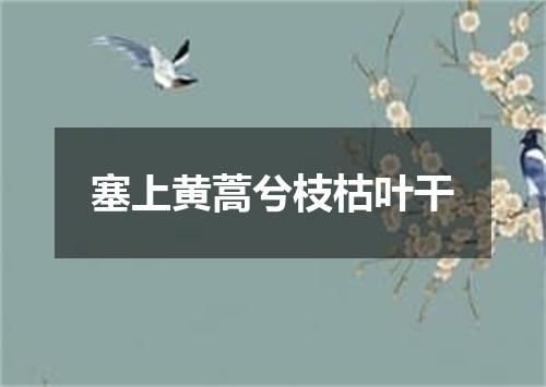 塞上黄蒿兮枝枯叶干