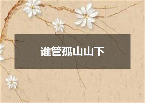 谁管孤山山下