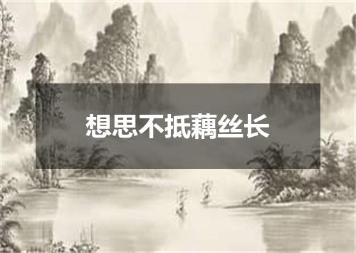 想思不抵藕丝长