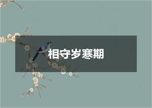 相守岁寒期