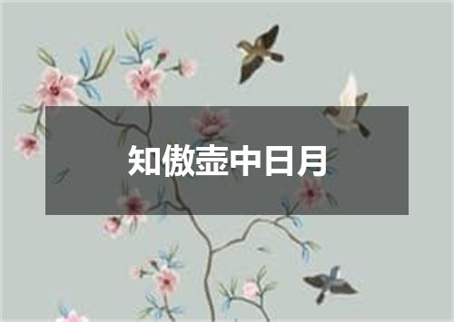 知傲壶中日月