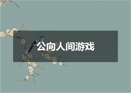 公向人间游戏