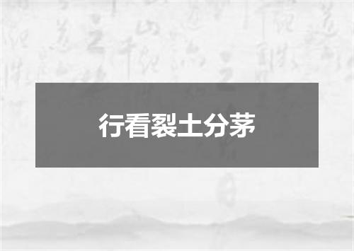 行看裂土分茅