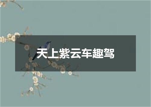 天上紫云车趣驾