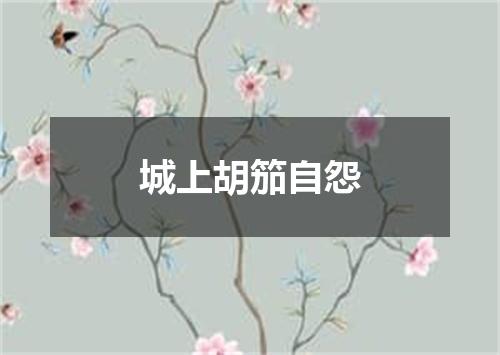 城上胡笳自怨