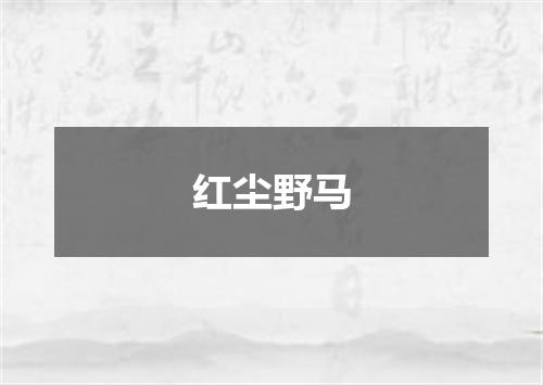 红尘野马