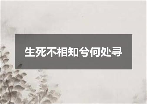 生死不相知兮何处寻