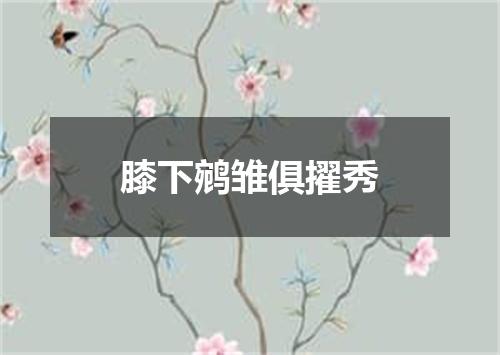 膝下鹓雏俱擢秀