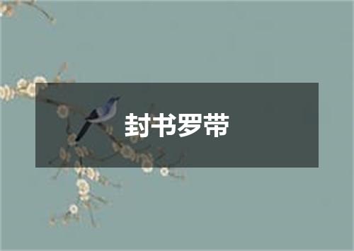 封书罗带