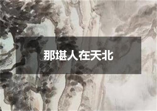 那堪人在天北