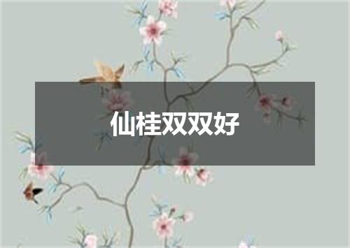 仙桂双双好