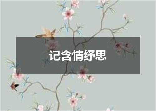 记含情纾思