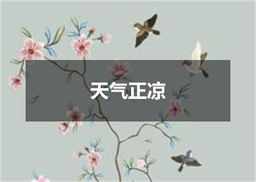 天气正凉
