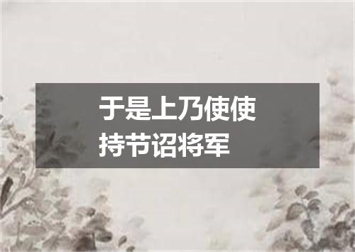 于是上乃使使持节诏将军