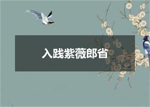 入践紫薇郎省