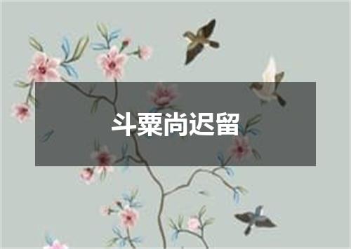 斗粟尚迟留