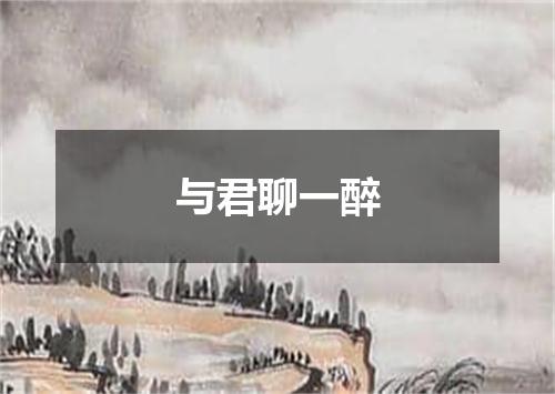 与君聊一醉