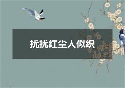 扰扰红尘人似织