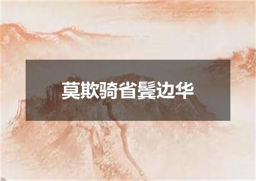莫欺骑省鬓边华