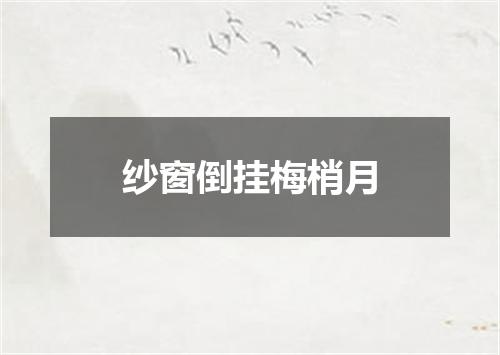 纱窗倒挂梅梢月