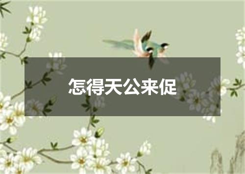 怎得天公来促