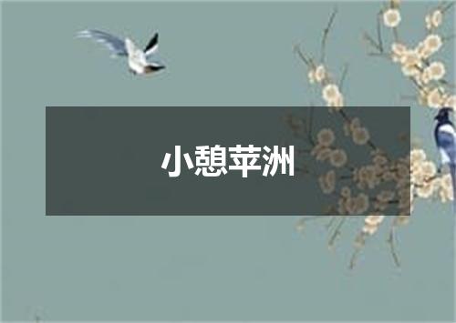 小憩苹洲