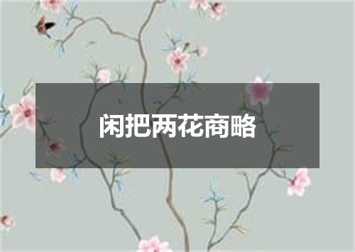 闲把两花商略