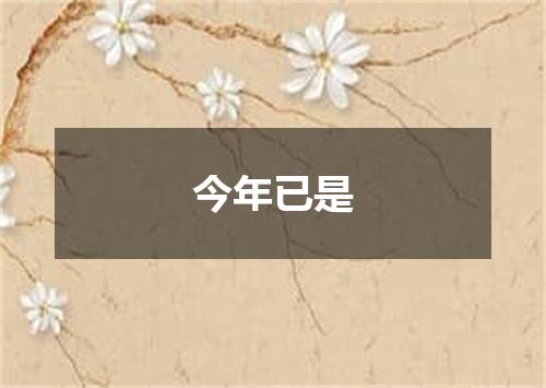今年已是