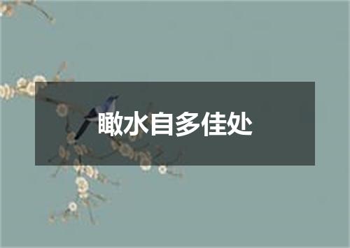 瞰水自多佳处