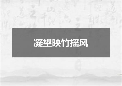 凝望映竹摇风