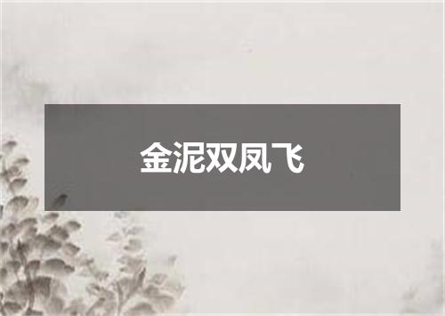 金泥双凤飞