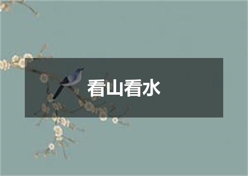 看山看水