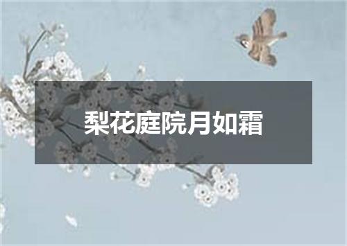 梨花庭院月如霜