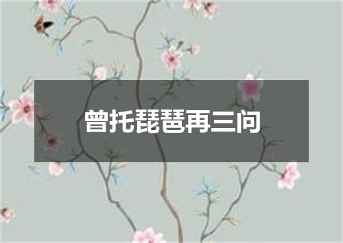 曾托琵琶再三问