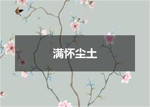 满怀尘土