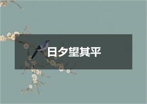 日夕望其平