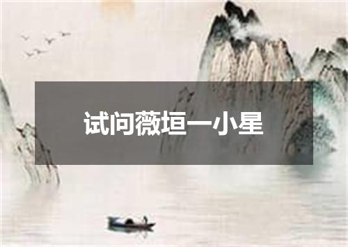 试问薇垣一小星