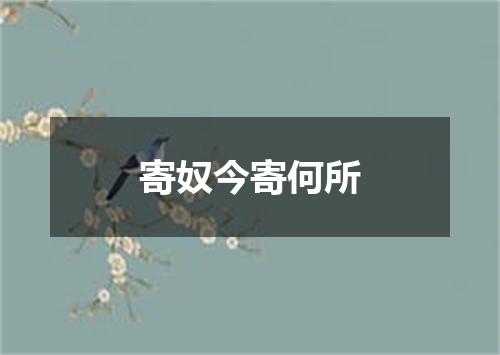 寄奴今寄何所