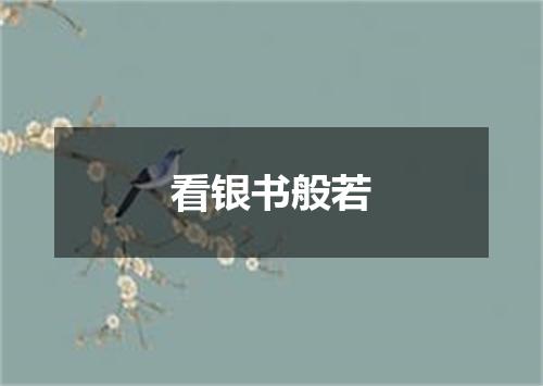 看银书般若