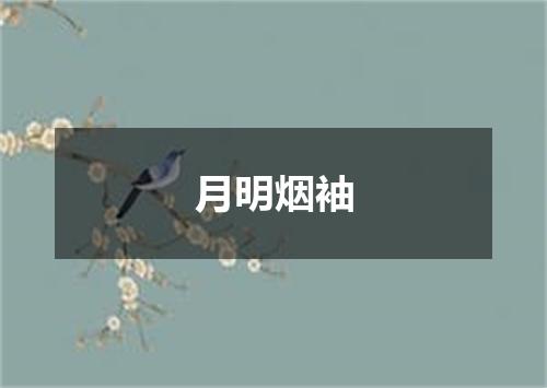 月明烟袖
