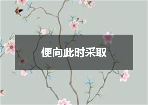 便向此时采取