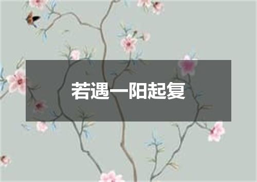 若遇一阳起复