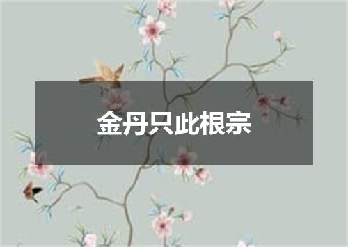 金丹只此根宗